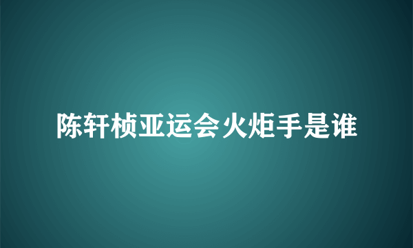 陈轩桢亚运会火炬手是谁