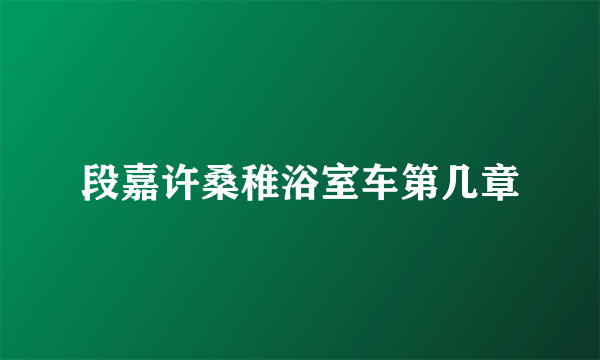 段嘉许桑稚浴室车第几章
