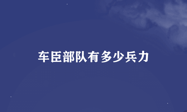 车臣部队有多少兵力