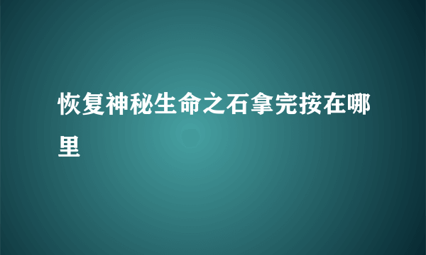 恢复神秘生命之石拿完按在哪里