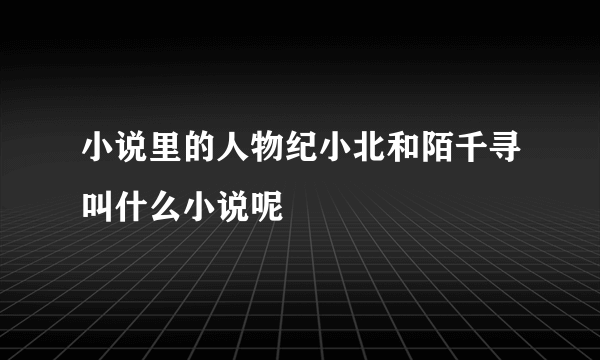 小说里的人物纪小北和陌千寻叫什么小说呢