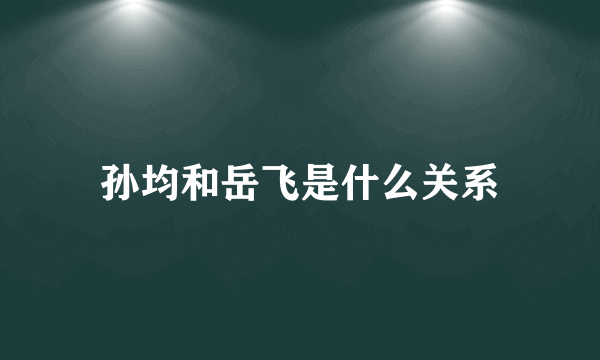 孙均和岳飞是什么关系