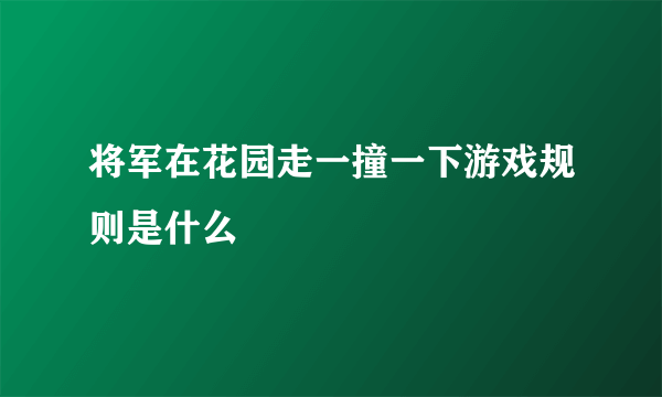 将军在花园走一撞一下游戏规则是什么