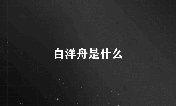 白洋舟是什么