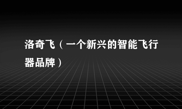 洛奇飞（一个新兴的智能飞行器品牌）
