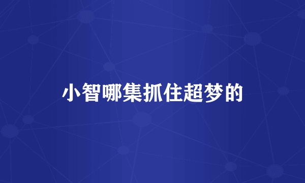 小智哪集抓住超梦的