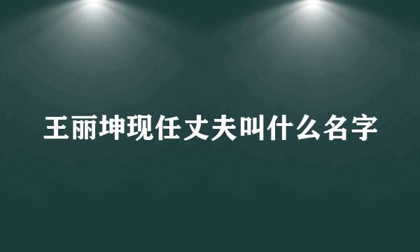 王丽坤现任丈夫叫什么名字
