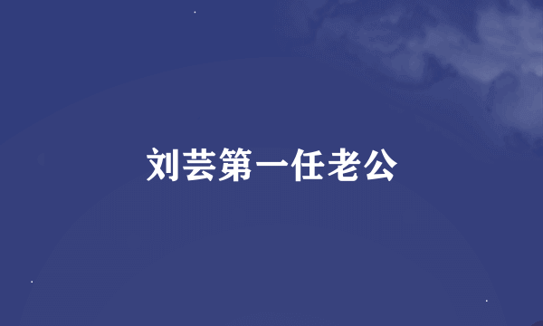 刘芸第一任老公