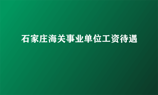石家庄海关事业单位工资待遇