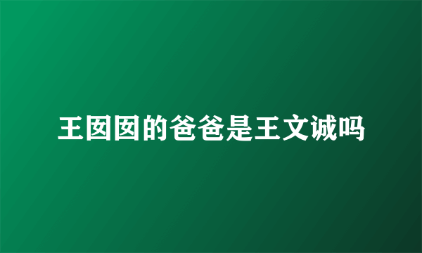 王囡囡的爸爸是王文诚吗