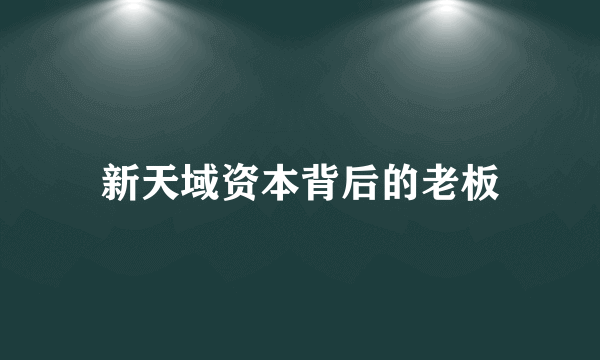 新天域资本背后的老板