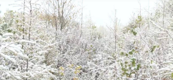 中国的最北县下起今秋第一场大雪，居民直呼“罕见”！当地温度如何？