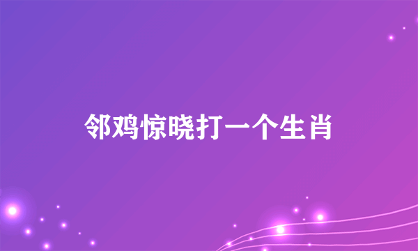 邻鸡惊晓打一个生肖