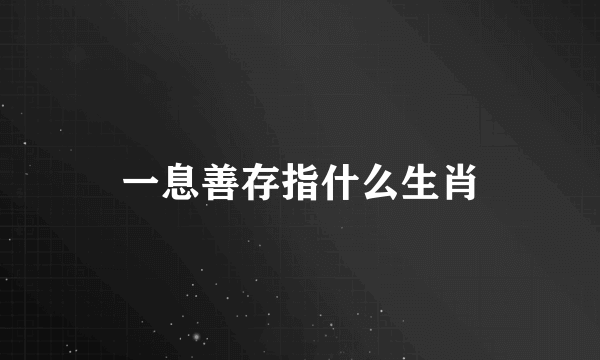 一息善存指什么生肖