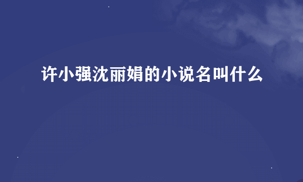 许小强沈丽娟的小说名叫什么