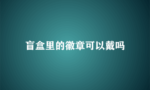 盲盒里的徽章可以戴吗