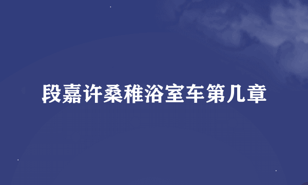 段嘉许桑稚浴室车第几章