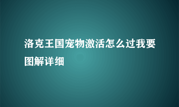 洛克王国宠物激活怎么过我要图解详细