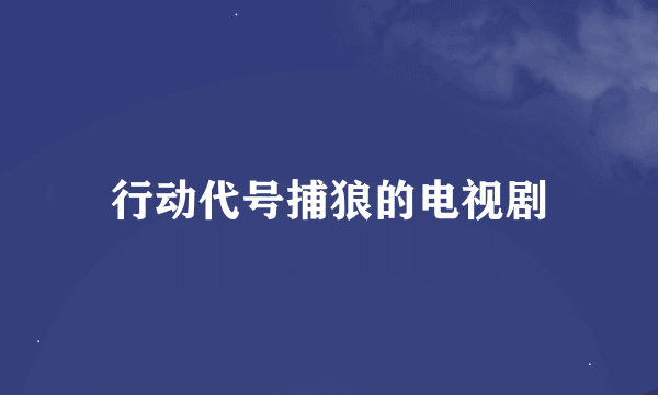 行动代号捕狼的电视剧