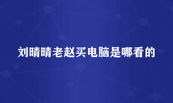 刘晴晴老赵买电脑是哪看的