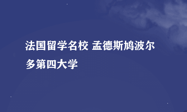 法国留学名校 孟德斯鸠波尔多第四大学