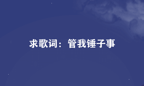 求歌词：管我锤子事