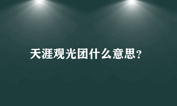 天涯观光团什么意思？