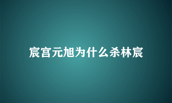 宸宫元旭为什么杀林宸