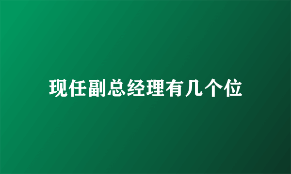 现任副总经理有几个位
