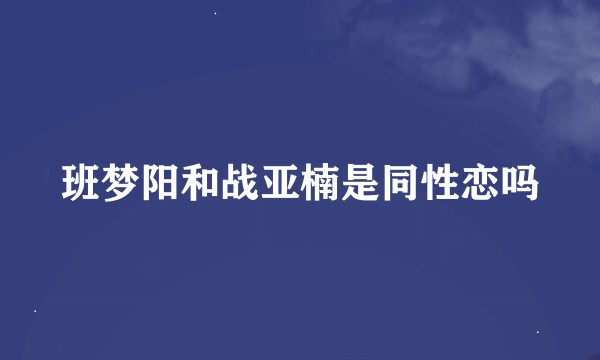 班梦阳和战亚楠是同性恋吗