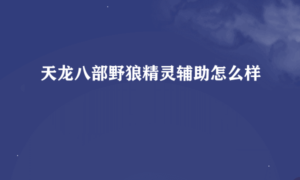 天龙八部野狼精灵辅助怎么样