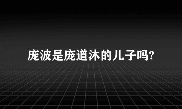 庞波是庞道沐的儿子吗?