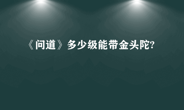 《问道》多少级能带金头陀?