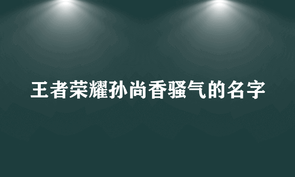 王者荣耀孙尚香骚气的名字