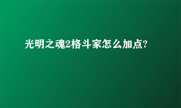 光明之魂2格斗家怎么加点?