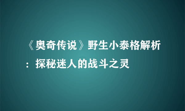 《奥奇传说》野生小泰格解析：探秘迷人的战斗之灵