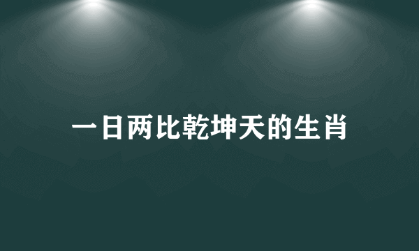 一日两比乾坤天的生肖