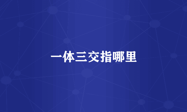 一体三交指哪里