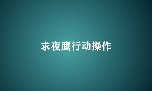 求夜鹰行动操作