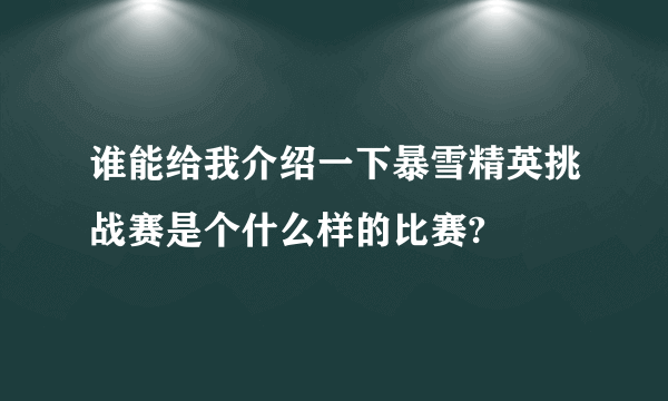 谁能给我介绍一下暴雪精英挑战赛是个什么样的比赛?