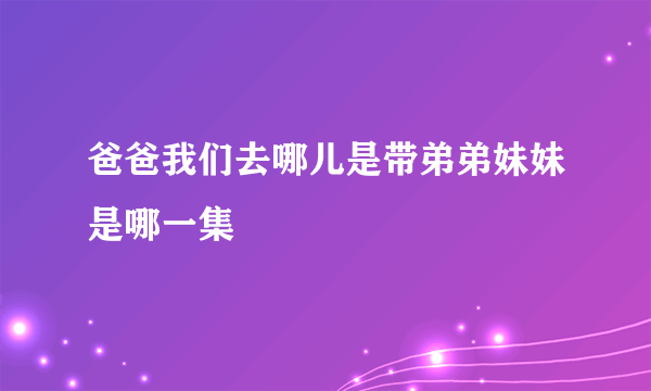 爸爸我们去哪儿是带弟弟妹妹是哪一集