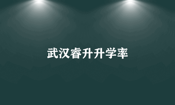 武汉睿升升学率