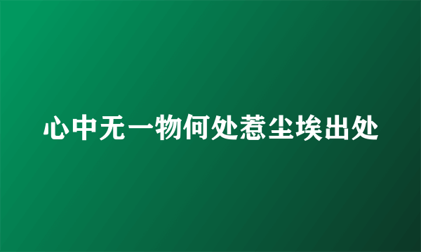 心中无一物何处惹尘埃出处