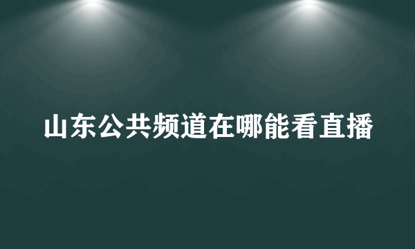 山东公共频道在哪能看直播