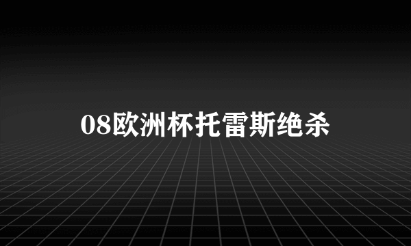 08欧洲杯托雷斯绝杀
