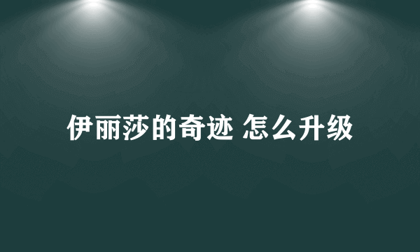 伊丽莎的奇迹 怎么升级