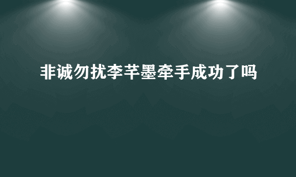 非诚勿扰李芊墨牵手成功了吗