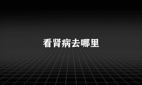 看肾病去哪里