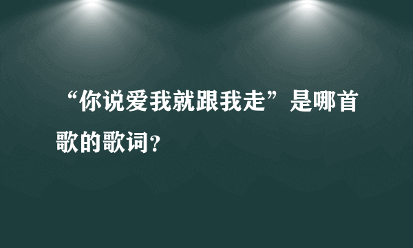 “你说爱我就跟我走”是哪首歌的歌词？