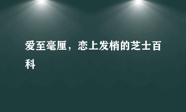 爱至毫厘，恋上发梢的芝士百科